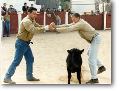 plaza de toros